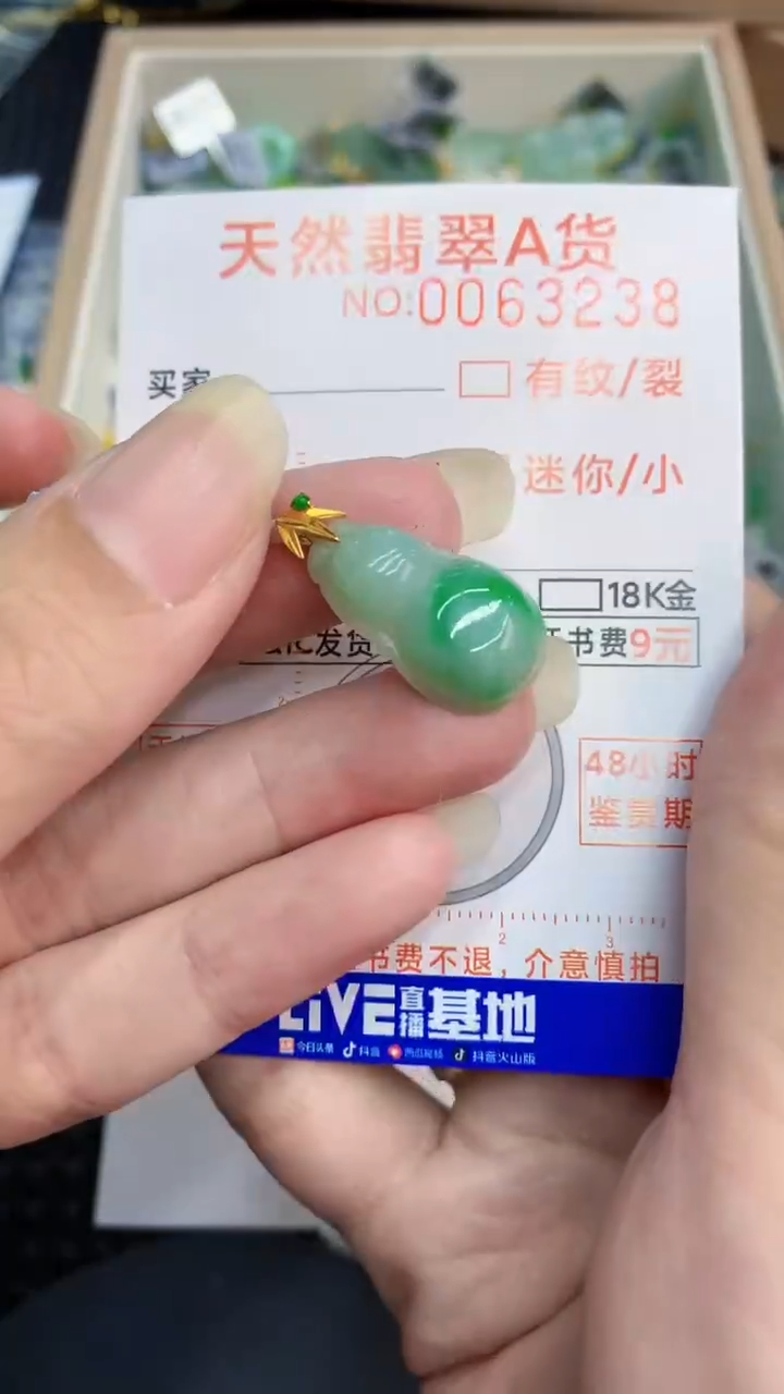 【闪购商品】翡翠颈饰18K金镶嵌000000008