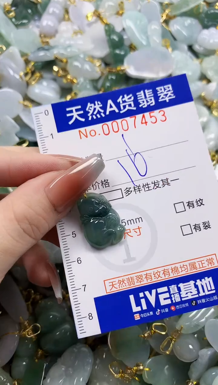 颈饰未镶嵌翡翠天然A货翡翠