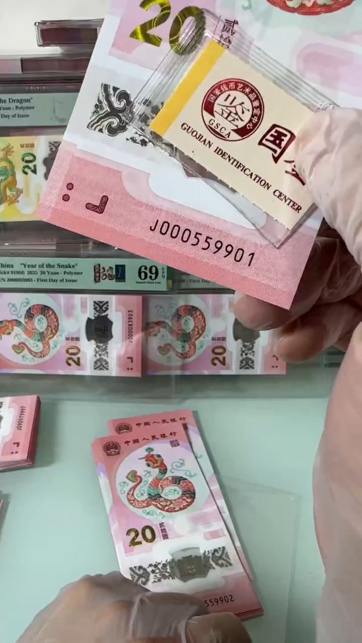 【闪购商品】塑料000559901-蛇钞单张！