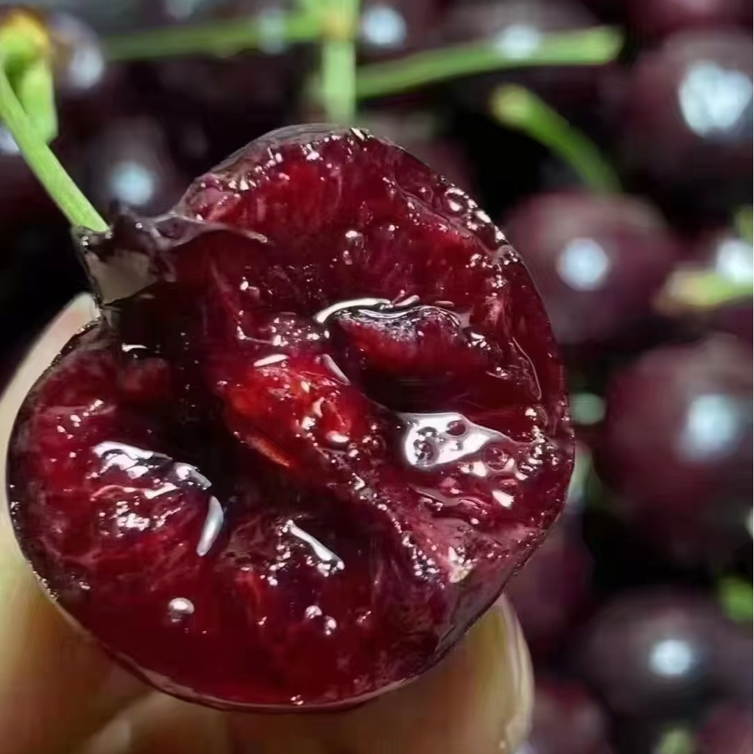智利桑提娜车厘子现货现发J/4J鲜鲜应季水果斤车厘子内附果径卡海运桑提娜樱桃智利共和国