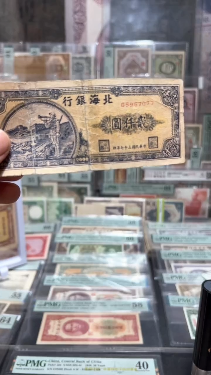 【闪购商品】纸小马直播间包邮福利！！！背有黏贴