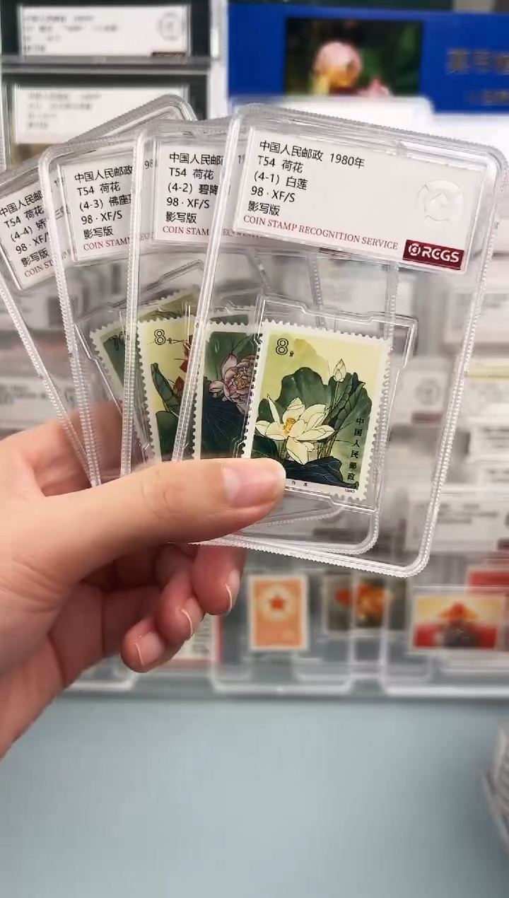 T54荷花全套小盒装