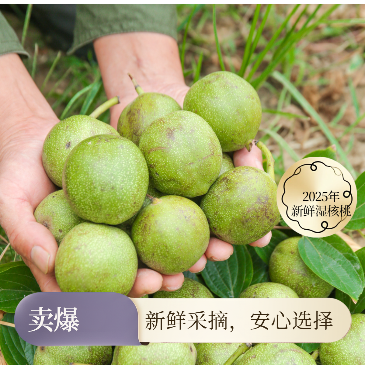 2025年新鲜核桃当季湿核桃适合孕妇宝宝的零食带青皮去青皮都有