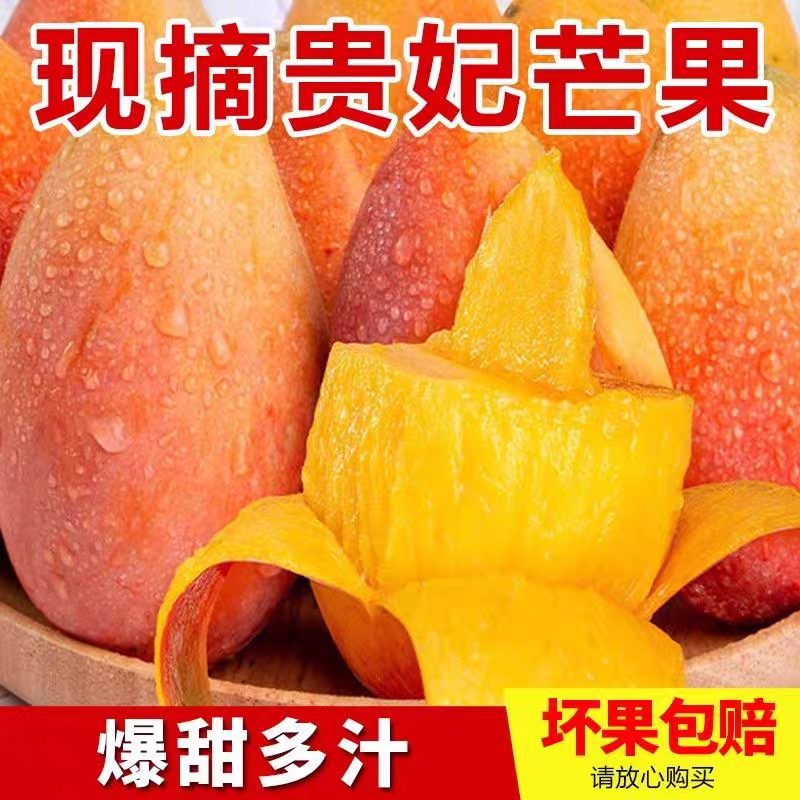 M2【放软食用】现摘现发贵妃芒新鲜水果老树果当季水果软糯香甜