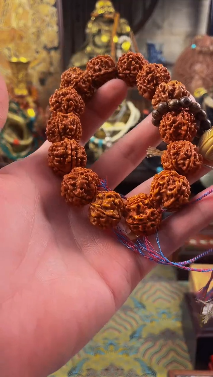 木贰号院直播精选推荐