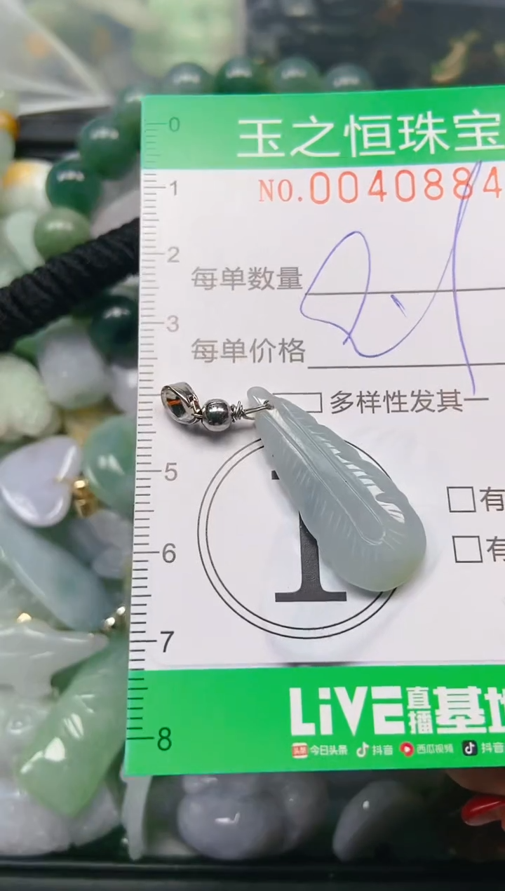 【闪购商品】翡翠颈饰未镶嵌闪购0040884