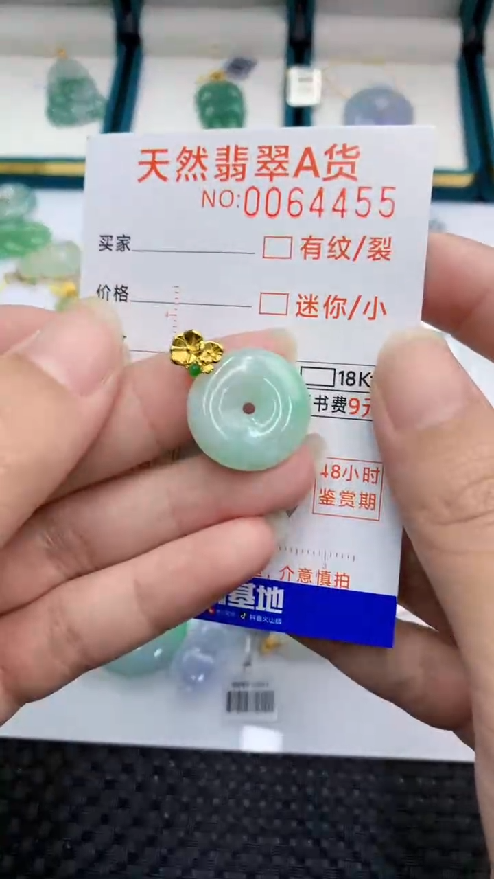 【闪购商品】翡翠颈饰银S925镶嵌            8