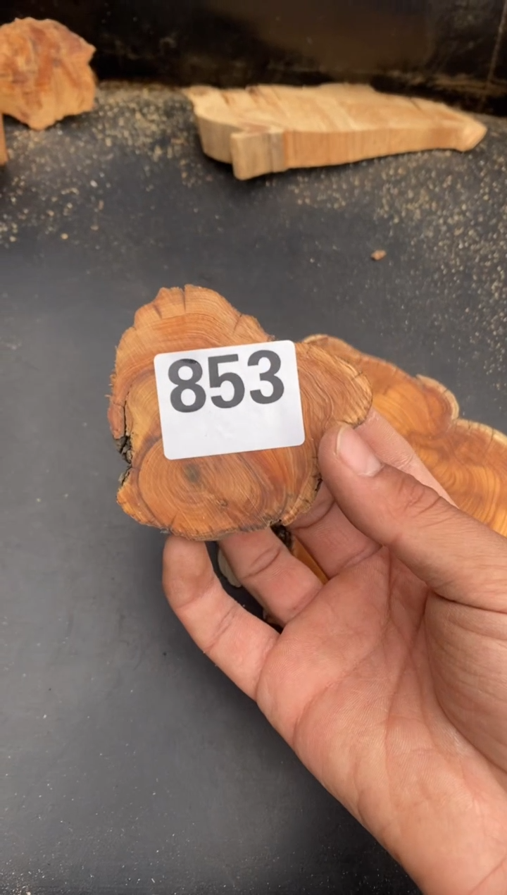 柏木（崖柏）9****米太行陈化崖柏切片！随机（1单1片）853