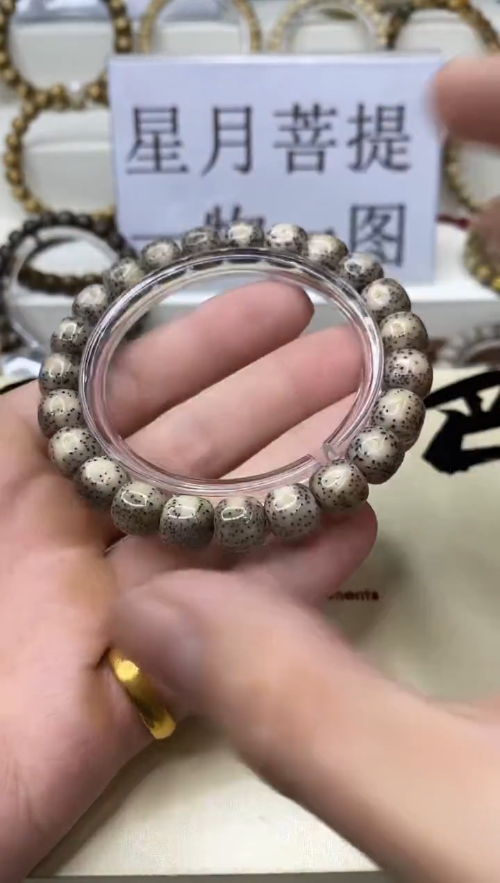 手串星月菩提一物一图-W10-105