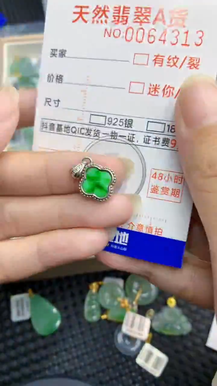 【闪购商品】翡翠颈饰银S925镶嵌            8