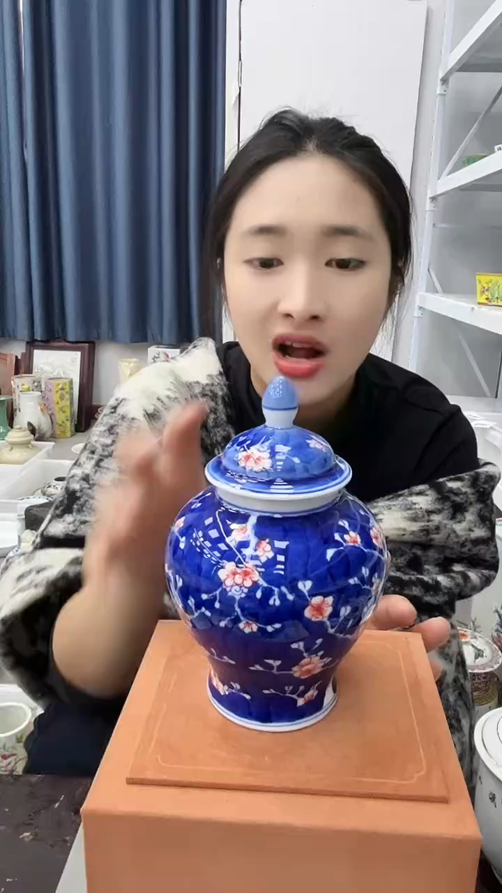 【闪购商品】瓷片景德镇陶瓷陶瓷陶瓷