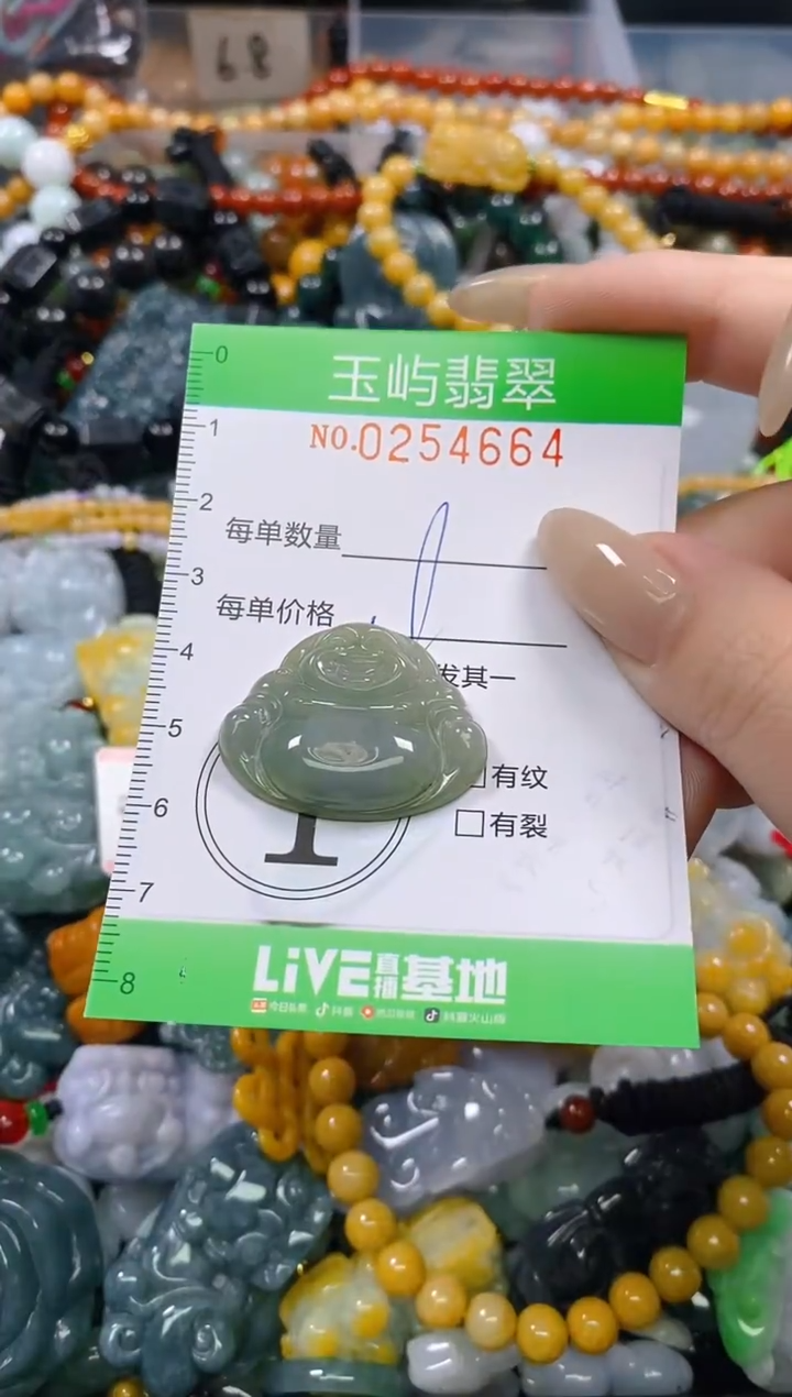 颈饰未镶嵌翡翠闪购0254664