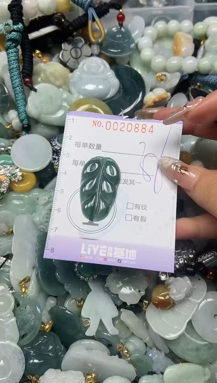 【闪购商品】翡翠颈饰未镶嵌闪购0020884