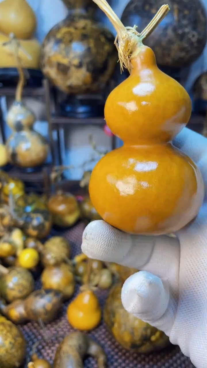 【闪购商品】葫芦葫芦葫芦葫芦