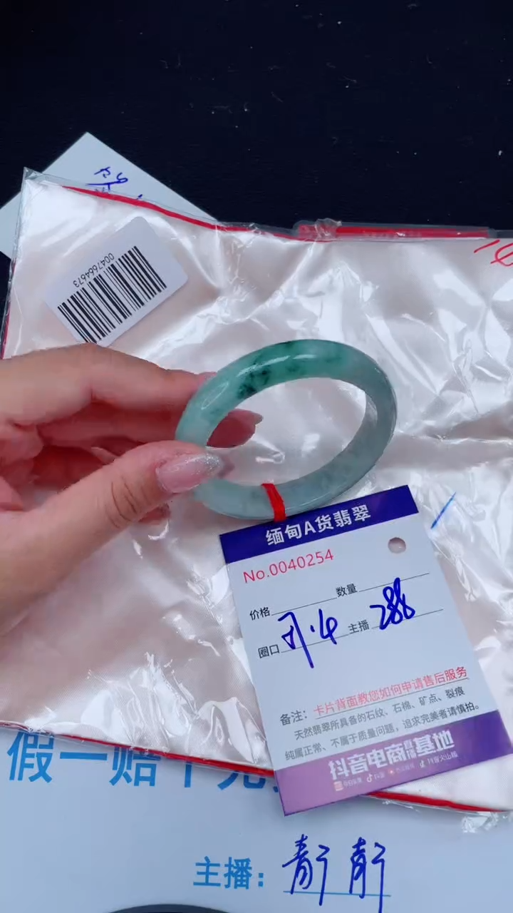 未镶嵌手镯翡翠 