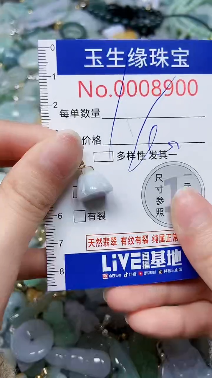 【闪购商品】翡翠颈饰未镶嵌闪购00008900