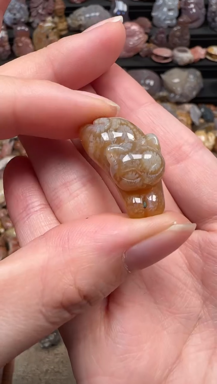 颈饰未镶嵌硅化珊瑚（珊瑚玉）653