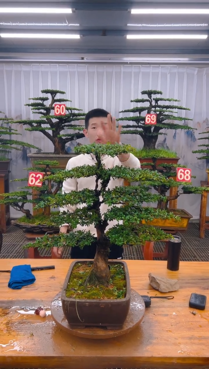 【闪购商品】紫砂精品盆景直播间一物一拍