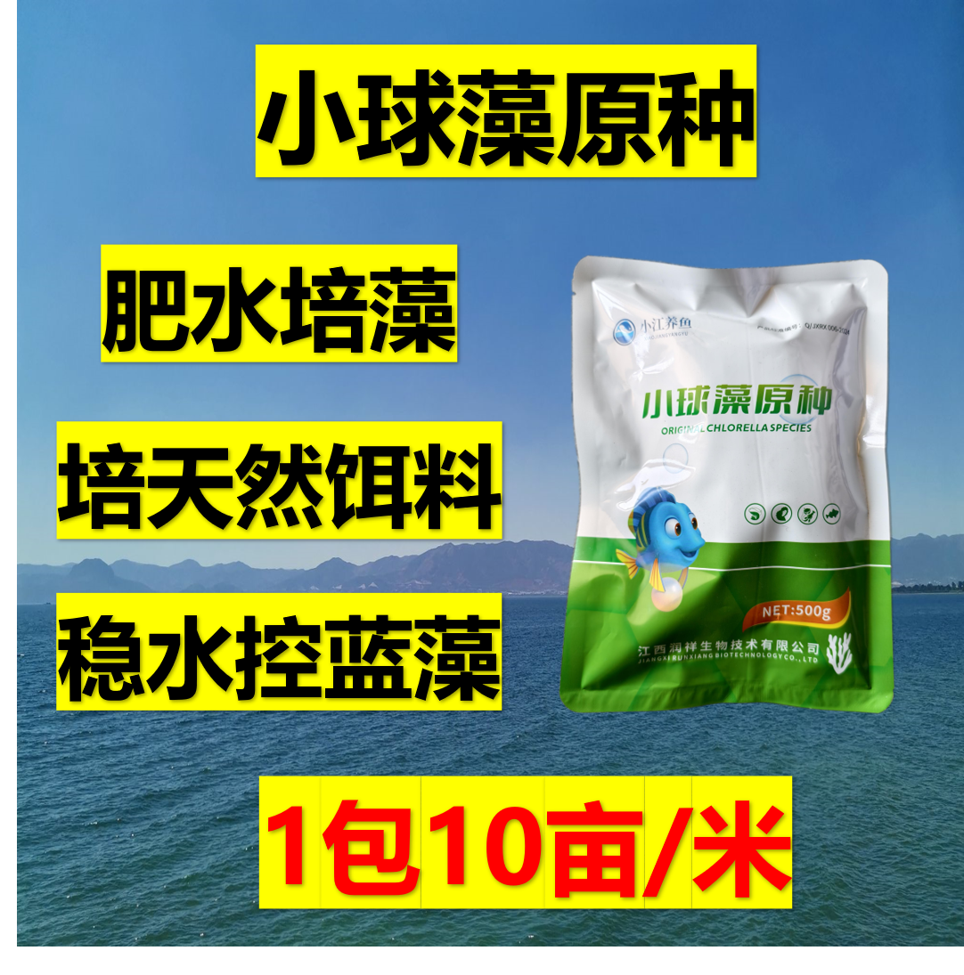 小球藻藻种 肥水稳水 2-3天快速调出一塘好水
