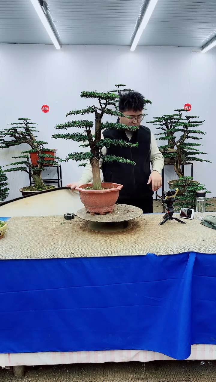 完全开放一物一拍，所见即所得