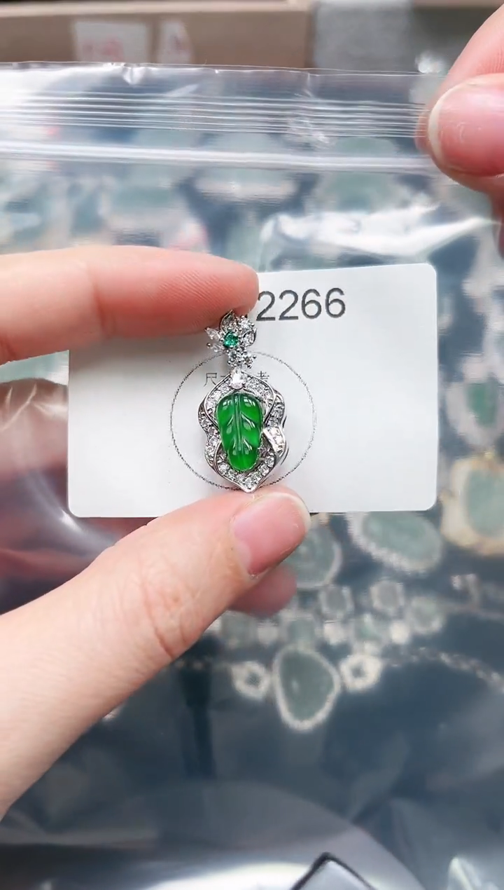 【闪购商品】翡翠颈饰未镶嵌赠皮绳2266