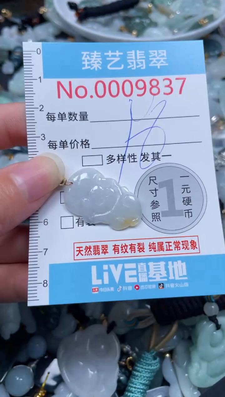 颈饰未镶嵌翡翠9837