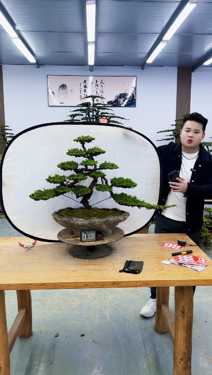 以实际为准000000000