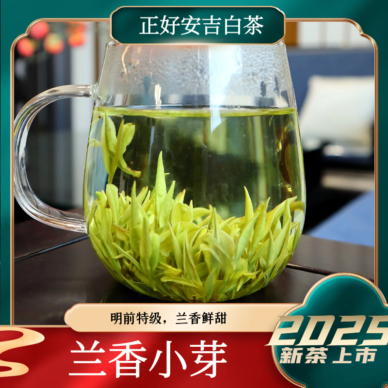 4号【兰香小芽】2025年溪龙正好安吉白茶春茶明前特级兰花香白茶