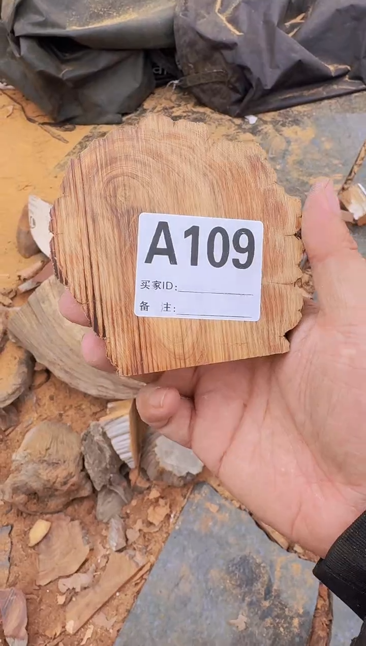 【闪购商品】柏木（崖柏）太行陈化崖柏一片