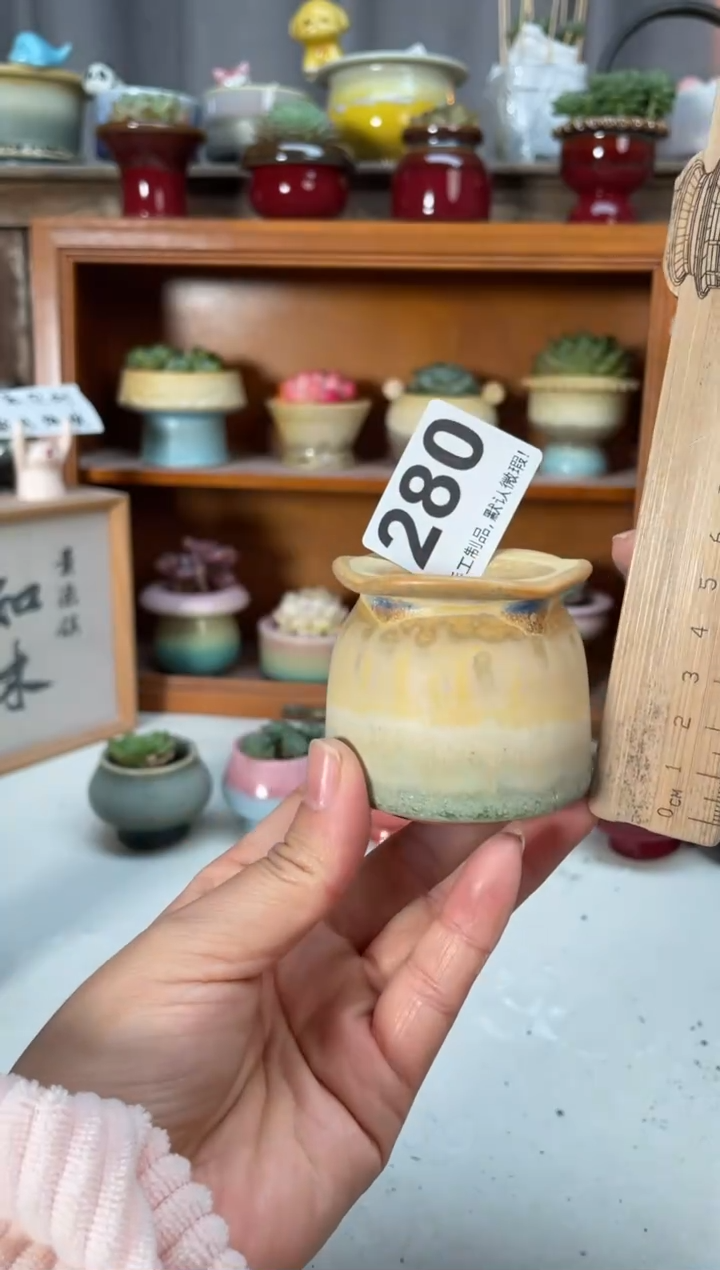 瓷片280小芳直播编号