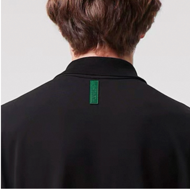 Fish 男士两粒扣带绿标