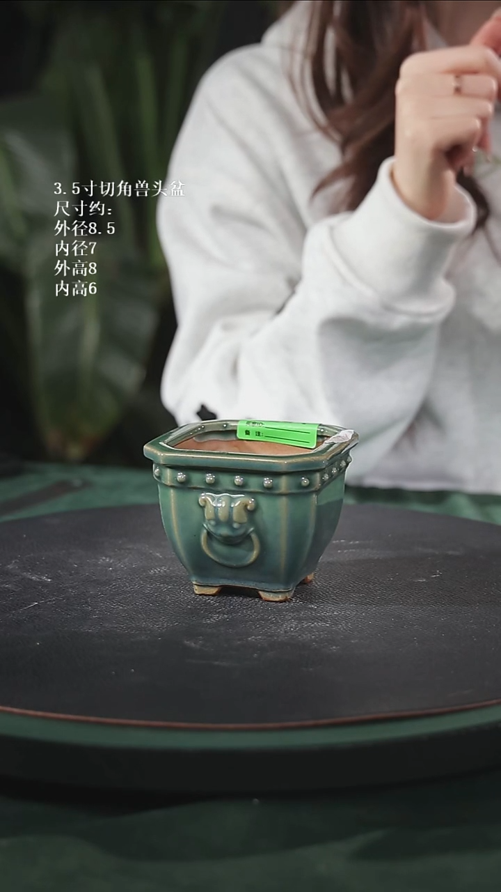 【石湾花盆】3.5寸切角兽头盆家居级244