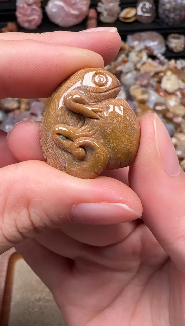 颈饰未镶嵌硅化珊瑚（珊瑚玉）579