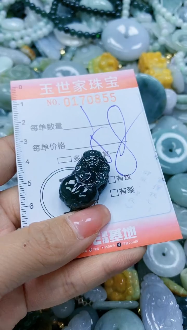 【闪购商品】翡翠颈饰未镶嵌闪购0170855