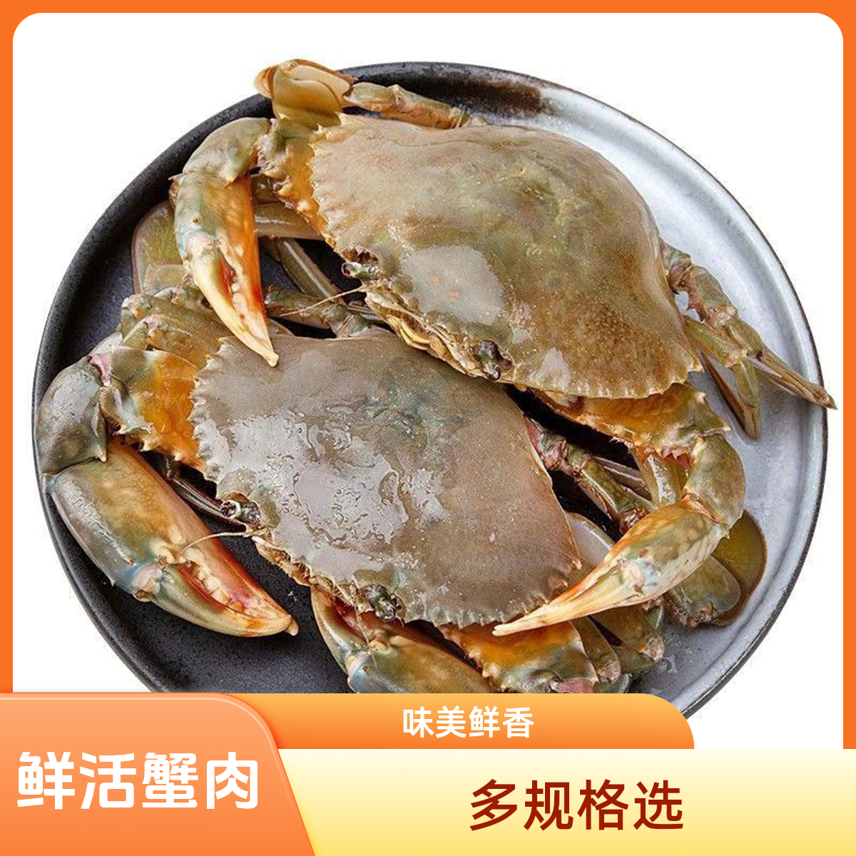 鲜活青蟹海鲜膏蟹肉蟹大青蟹（斤数自选）蟹同城配送