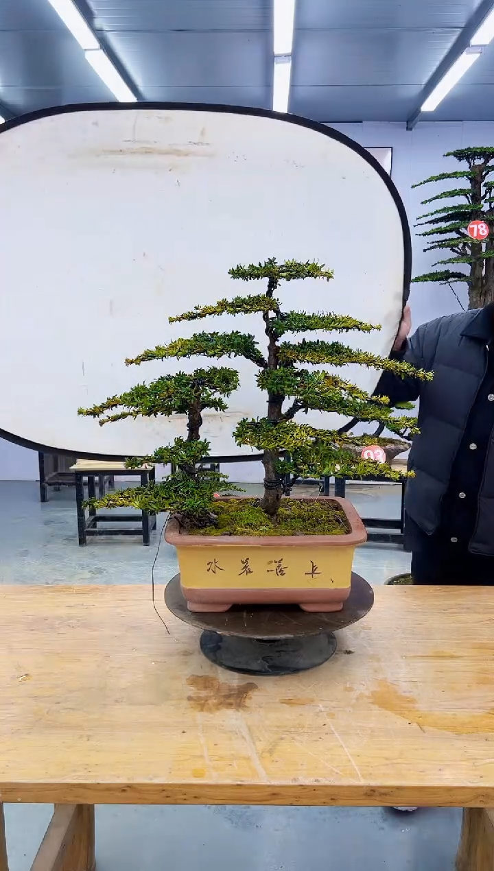 以实际为准000000000