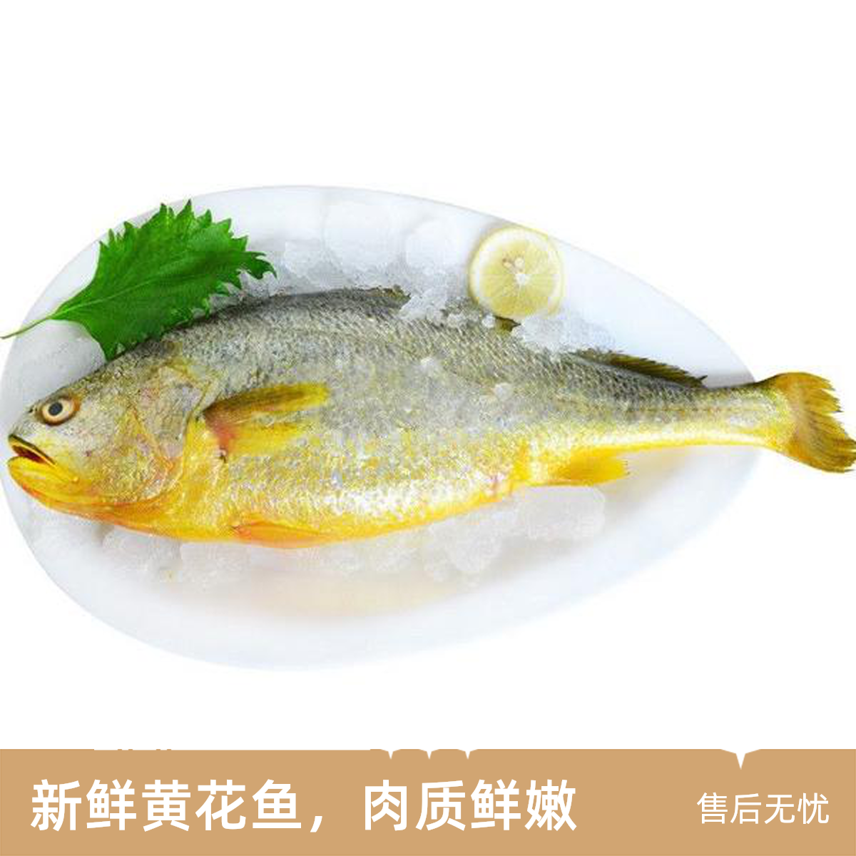 大黄鱼（渔恩贝）600克