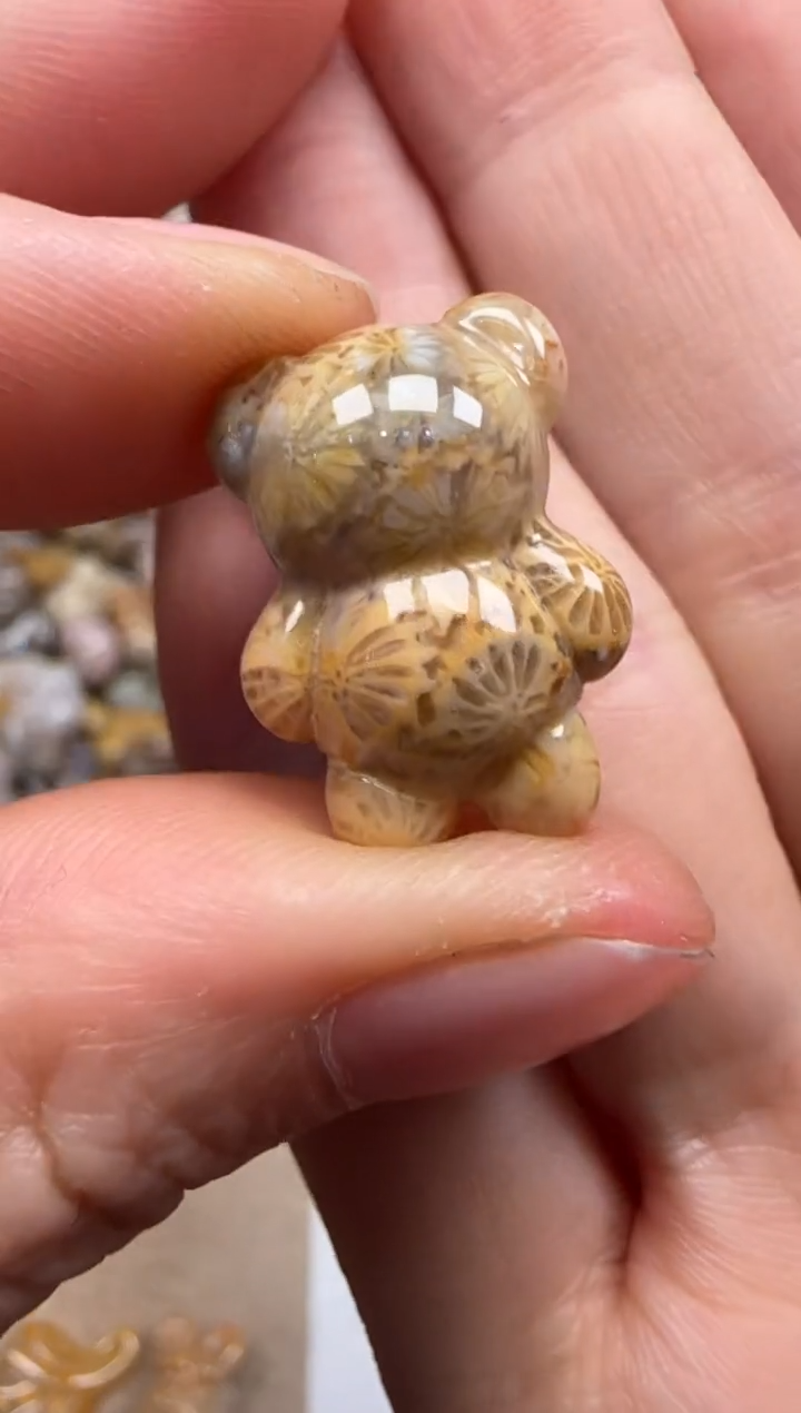 【闪购商品】硅化珊瑚（珊瑚玉）颈饰未镶嵌085