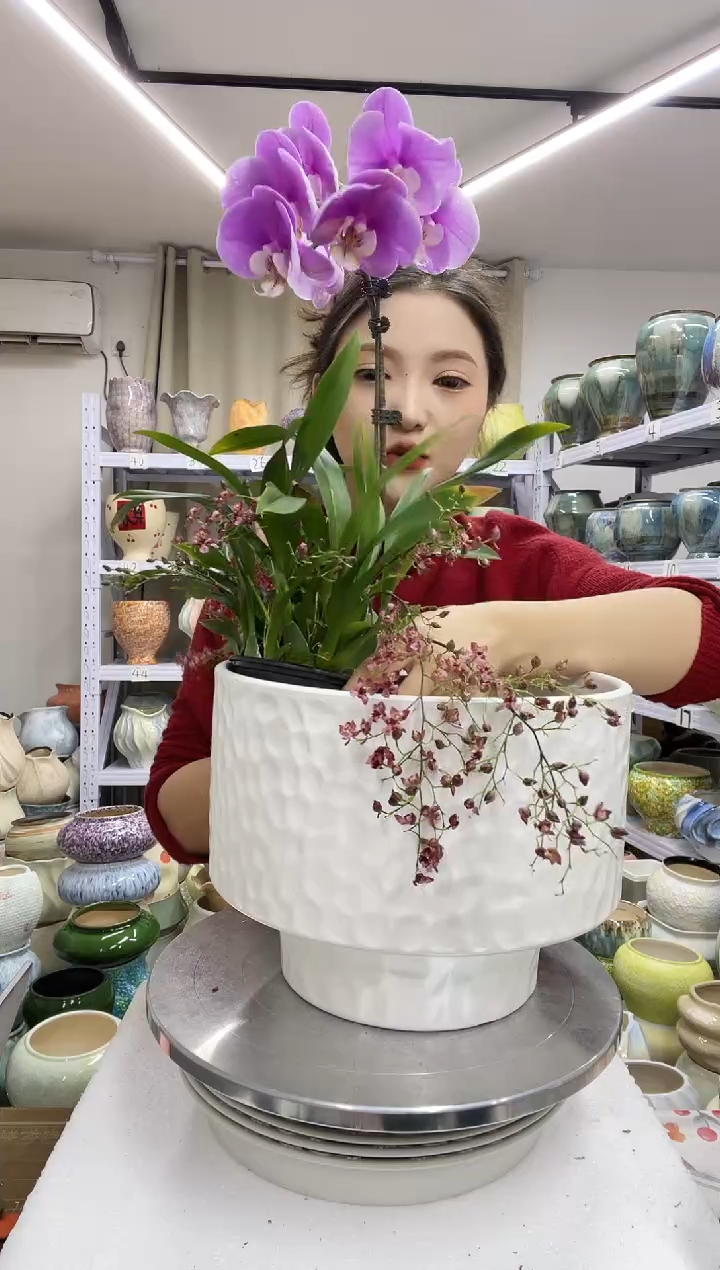 【1.3】花盆尺寸高：19 口：24