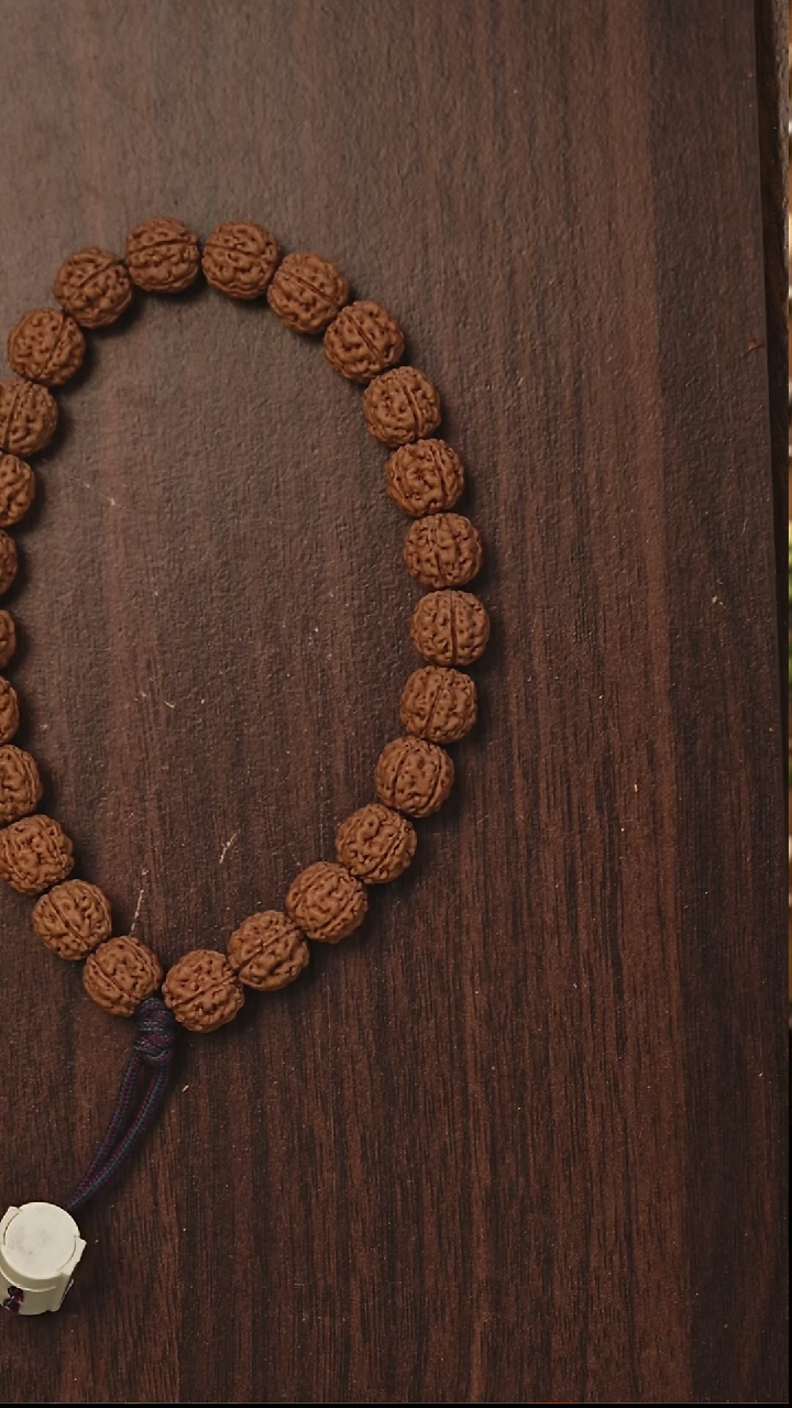 手串金刚菩提S02战神盘龙