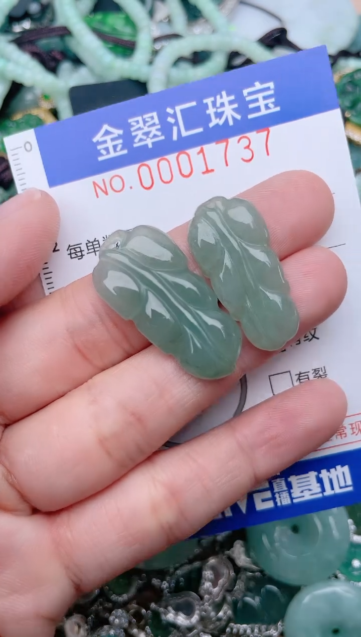 【闪购商品】翡翠颈饰未镶嵌1737........1
