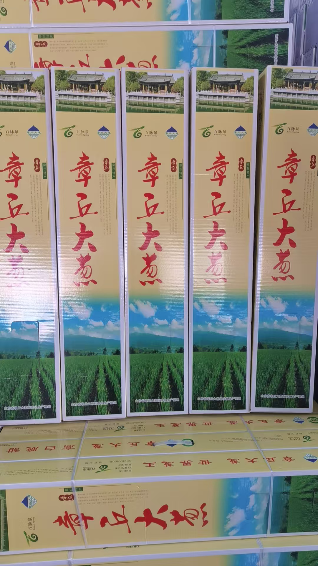 正宗章丘大葱带皮带叶