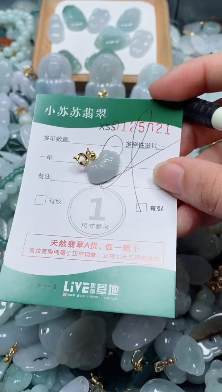 【闪购商品】翡翠颈饰未镶嵌闪购商品0125021