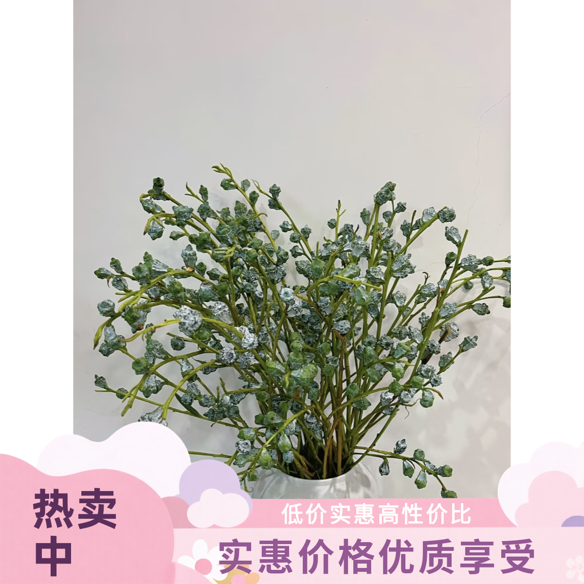 新鲜尤加利果可做干花带淡淡清香室内摆放夏季驱蚊花材