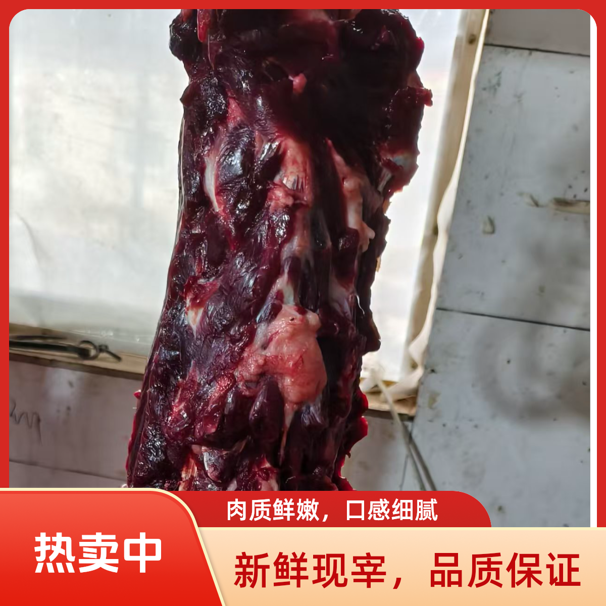 牛蝎子,带肉脊骨，115元（5斤） 红烧，炖汤，酱焖，肉香浓郁，贴骨肉多.