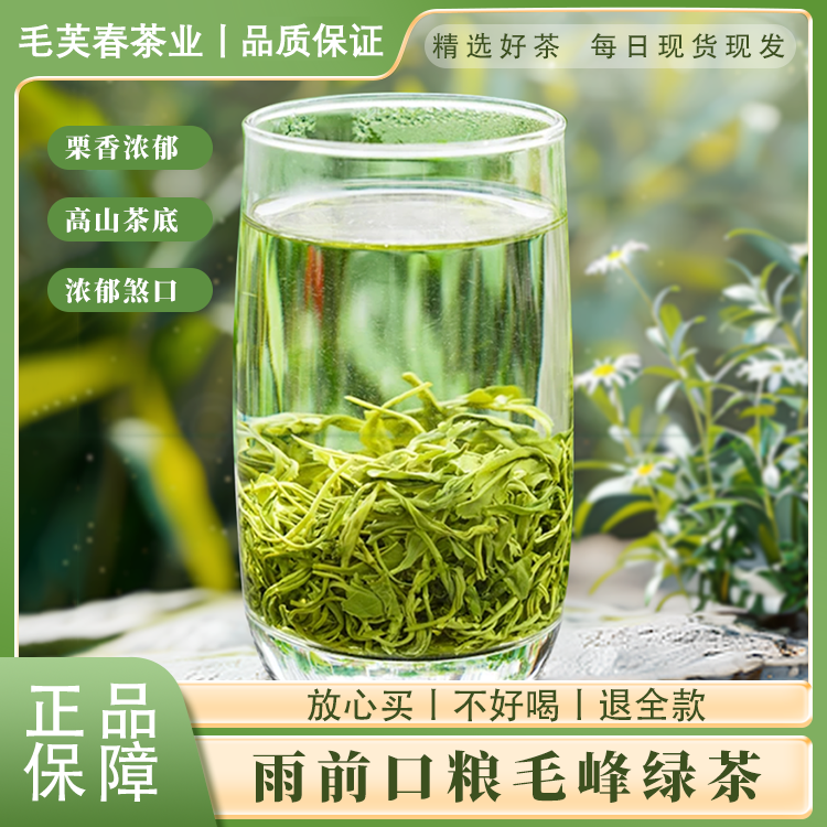 毛芙春2025年新茶毛峰绿茶四川蒙顶山醇厚鲜嫩毛峰绿茶