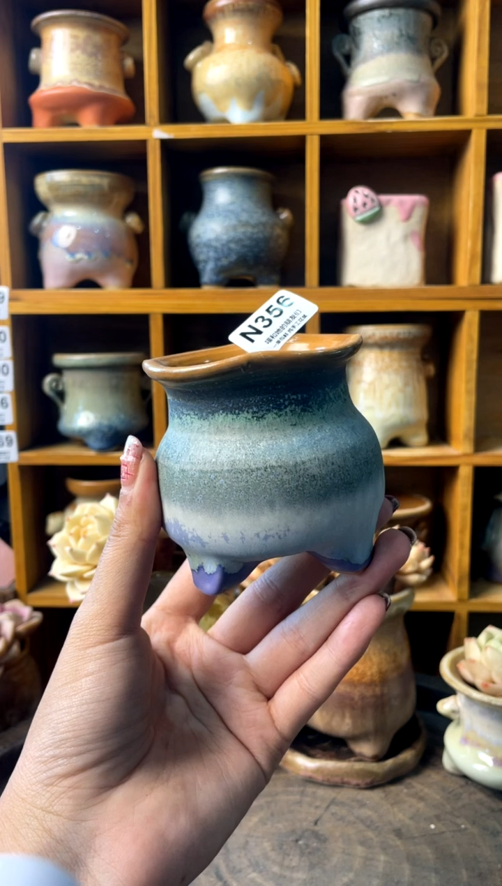 356内口6【多肉花盆多肉盆】