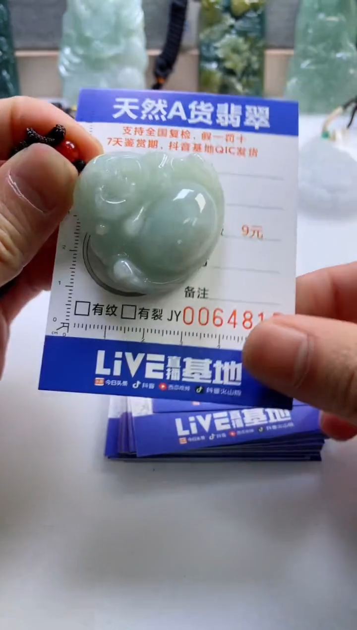 【闪购商品】翡翠挂件未镶嵌