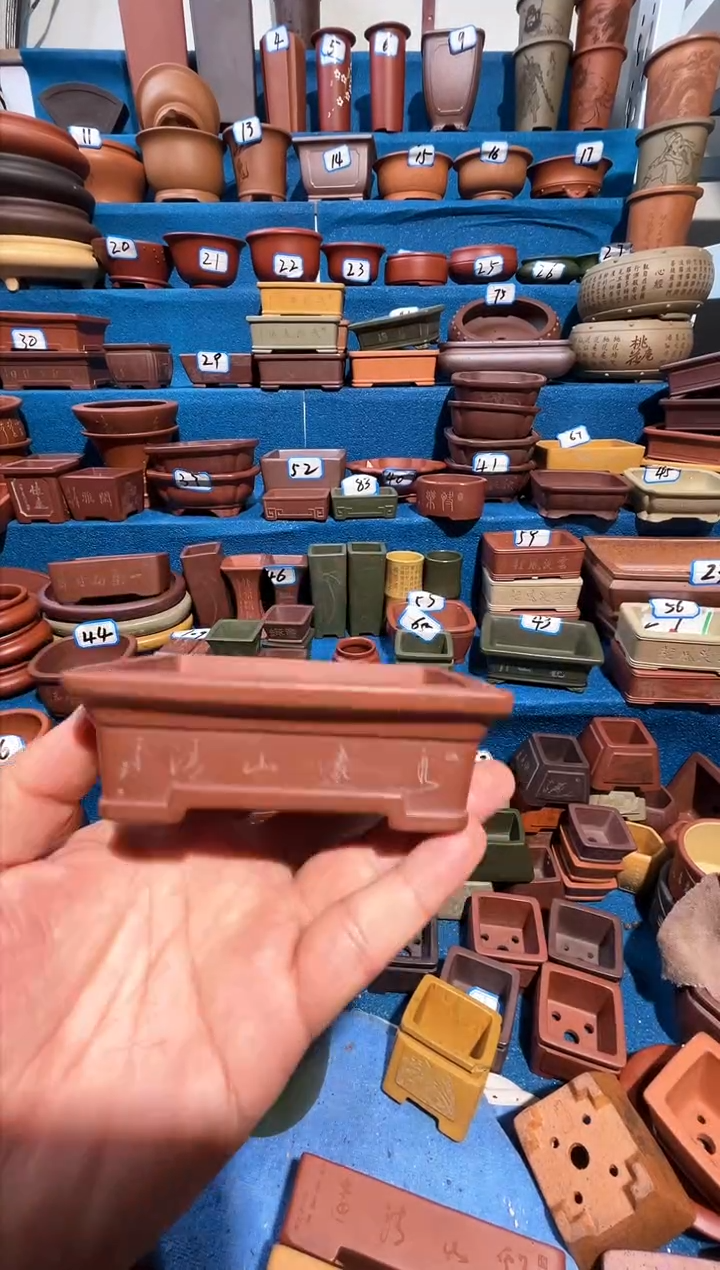 【闪购商品】紫砂紫砂花盆10*7.5*3