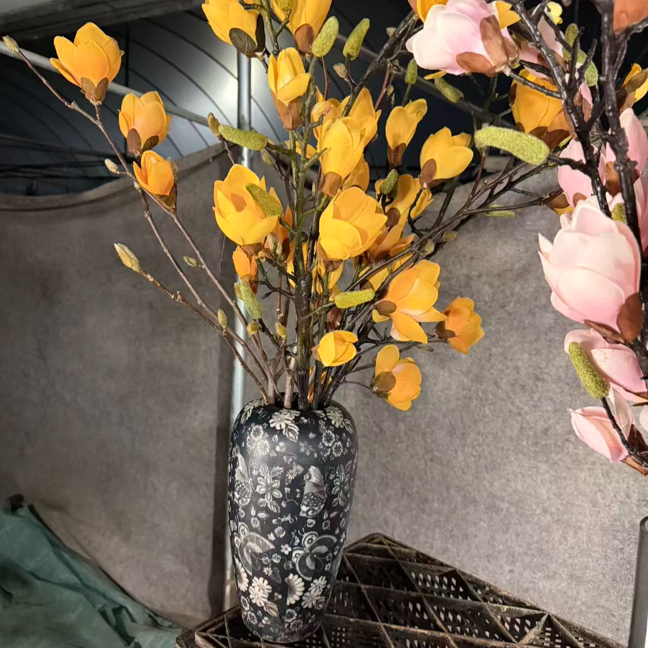 玉兰花水培紫色玉兰鲜切枝年宵花卉带花苞插花美观盆栽